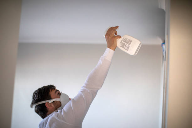 Best Affordable Mold Removal  in Davenport, IA