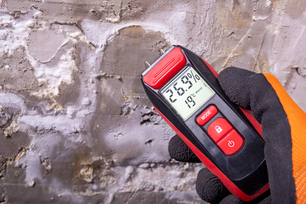 Best Attic Mold Removal  in Davenport, IA