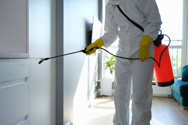  Davenport, IA Mold Removal Pros